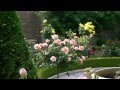 Design Rose Garden Ideas