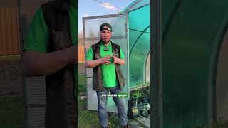 2 критические ошибки полива томатов #дача #огород #комнатныерастения #сад #garden   #томаты
