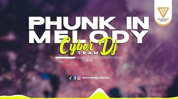 Phunk In Melody - CYBER DJ TEAM (Official Audio Visualizer)