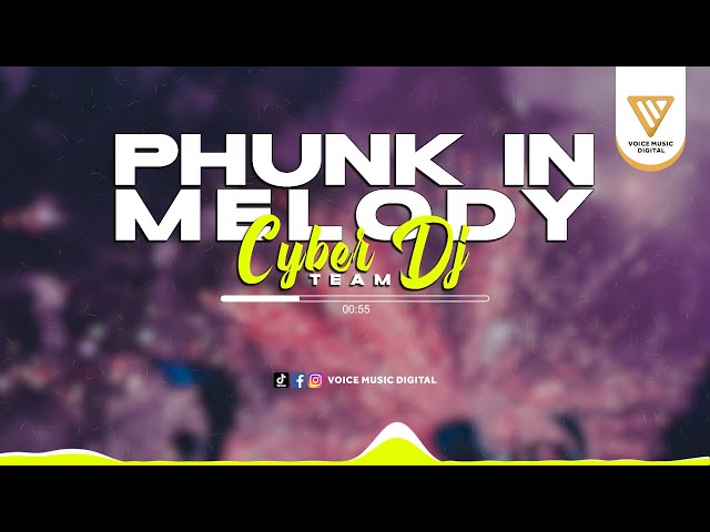 Phunk In Melody - CYBER DJ TEAM (Official Audio Visualizer) class=