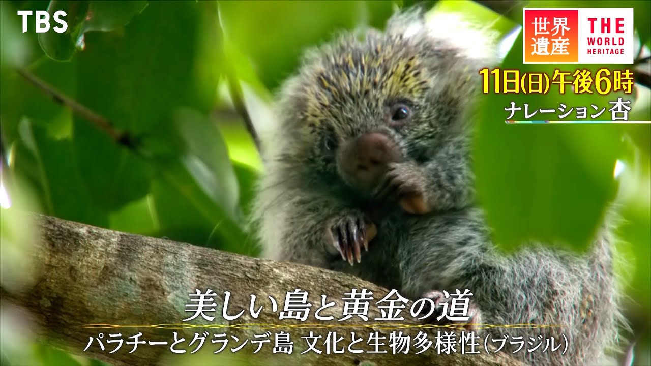 世界遺産』2/11(日) パラチーとグランデ島 文化と生物多様性 〜 美しい