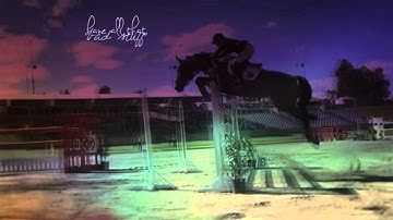 мσυηтαιη кιηg - ☼