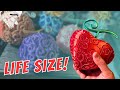 3d printing life size devil fruits