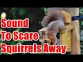 Sound To Scare Squirrels Away 