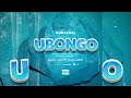 Buda zoni - UBONGO (official audio)