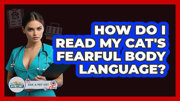 How Do I Read My Cat