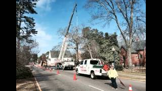 Hazardous Tree removal project in Aiken SC - O.A.K. Services