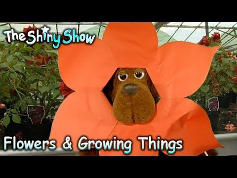 The Shiny Show | Flowers & Growing Things | S1E30