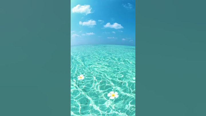 всех с началом лета 🌞🌴🏄🎇 #shorts - лето