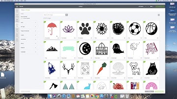 Finding Image Sets (aka cartridges) in the new DS