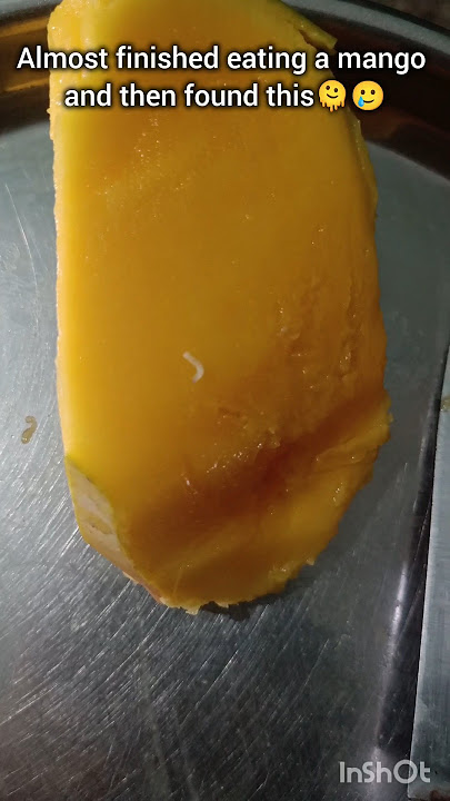 Download lagu Worms in Mango😭🚨 Be careful while eating #alert #becareful #shorts #viral #share #food #mango #trend