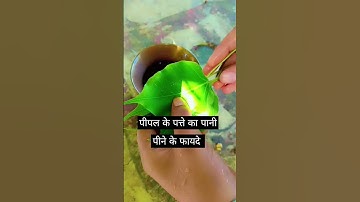 पंडित प्रदीप मिश्रा पीपल के पत्ते का पानी पीने के फायदे / short status video # pandit pardeep# short
