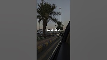 ﴿الأخلاء يومئذ بعضهم لبعض عدو إلا المتقين﴾ | سورة الزخرف | الشيخ أحمد بن طالب