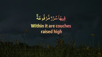 Surah Al Ghashiyah سورة الغاشية | verse 8-16  ٨-١٦| الآية TheWiseQuran القرآن الحكيم