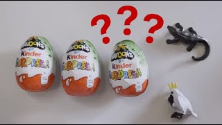 Surprise inside chocolate egg - Natoons Edition - 3 of 5