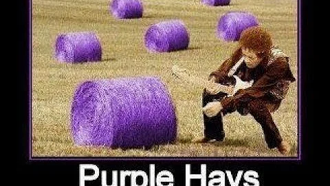 Flex 6400 vs globe champion 350 test