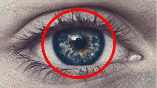 چشم انسان چیست و چگونه کار می کند ؟ آیا واقعا چشم هزار مگپیکسل دارد؟