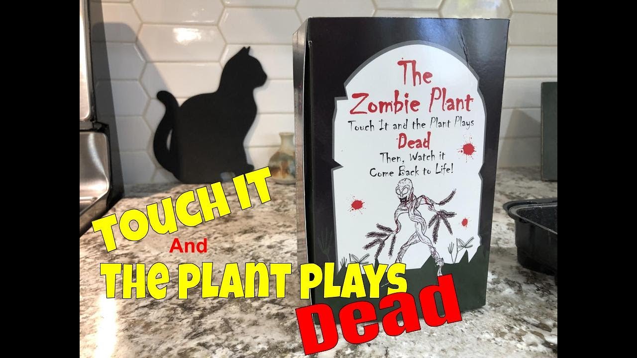Zombie Plant - Touch It and It Plays Dead!