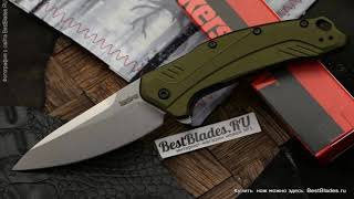 Складной нож KERSHAW Link 1776OLSW