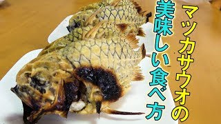 ヒゲの兄貴も絶賛！すんごく硬いけど美味しく食べる調理法！！【マツカサくん】