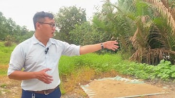 Lô đất 2537m2 làm nhà vườn view sông trực diện có sẵn 1500m2 thổ ở Cần Giuộc cho khách làm nhà vườn