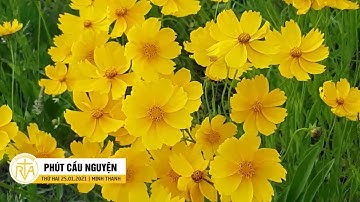 Phút Cầu Nguyện, Thứ Hai 25/01/2021: Người trẻ cần mạnh dạn loan truyền đức tin