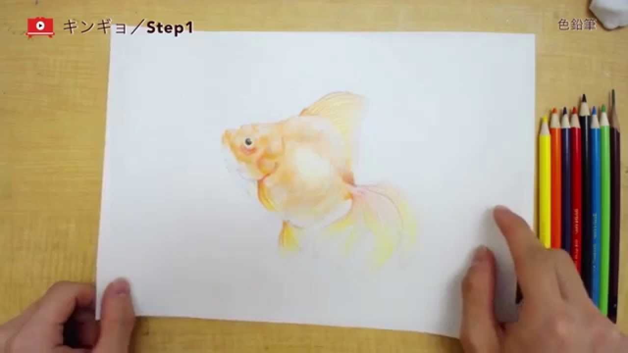 色鉛筆で綺麗な金魚を描く Youtube