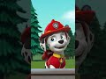 Pups bring all the Animals back to the Farm! #PAWPatrol #Shorts