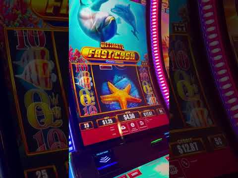 Mustang Money 20$ Spin