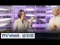 蔡英文卸任元首的外交活動