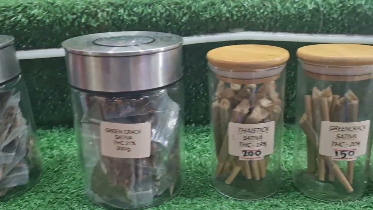 Weed in phuket patong Thailand 