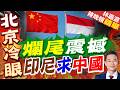 印尼求中國砸錢修鐵路 鐵路大計急喊卡？｜爛尾震撼 印尼求中國｜介文汲.栗正傑.謝寒冰深度剖析【林嘉源辣晚報】精華版 @中天新聞CtiNews