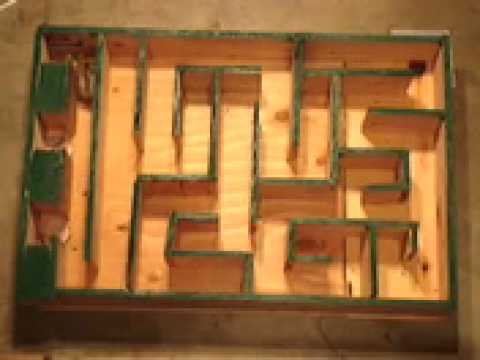 hamster maze videos