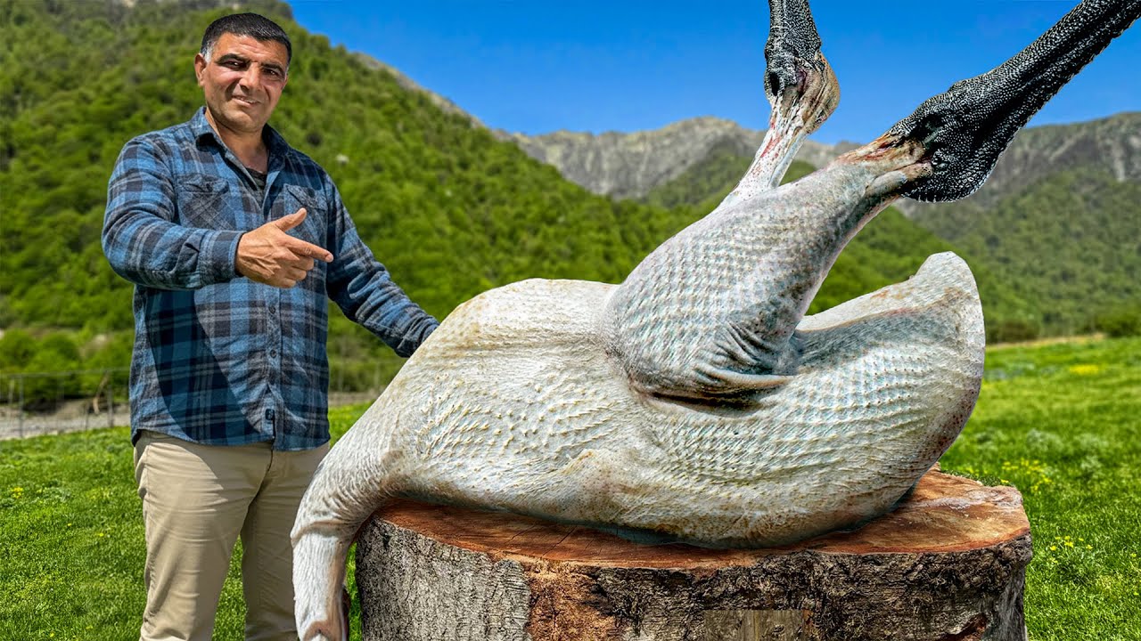 طبخ نعامة كاملة محشوة بالأرز في التنور الطيني