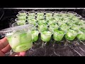 ENAK DAN SEGAR ‼️ PUDING MELON YANG COCOK UNTUK IDE JUALAN DAN TAKJIL