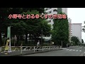 【'17都議選】小野寺とおる＠くすのき団地