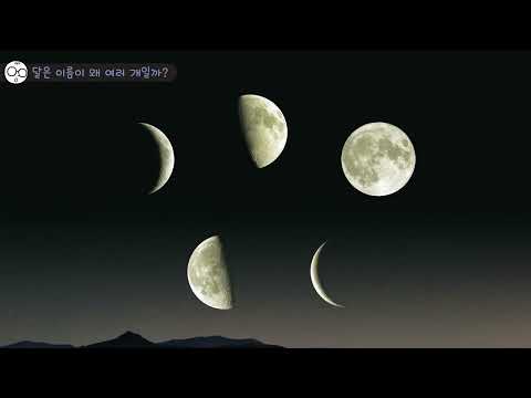 안다과학 8호1단계4주 탐구하기