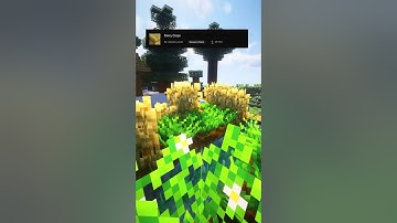 Top 4 BEST Minecraft Resource Packs in 2024