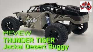 jackal desert buggy