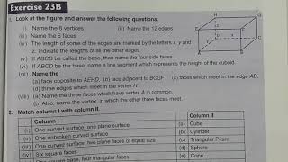 Exercise 23B / class 6/Icse / Mathematics