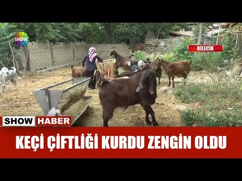 Video: Maryland'de Keçiler Genellikle Çim Biçme Makinesini 'Melez