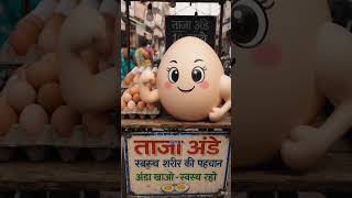 Anda khane ke labh #Egg #EggBenefits #HealthTips #Protein #Shorts #ViralShorts #HealthyFood 🥚💪