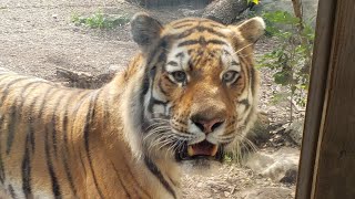 Indianapolis Zoo Indiana 2018