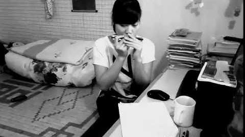 Có Lẽ EM Đã Sai - Harmonica  - Mai Thị Thảo