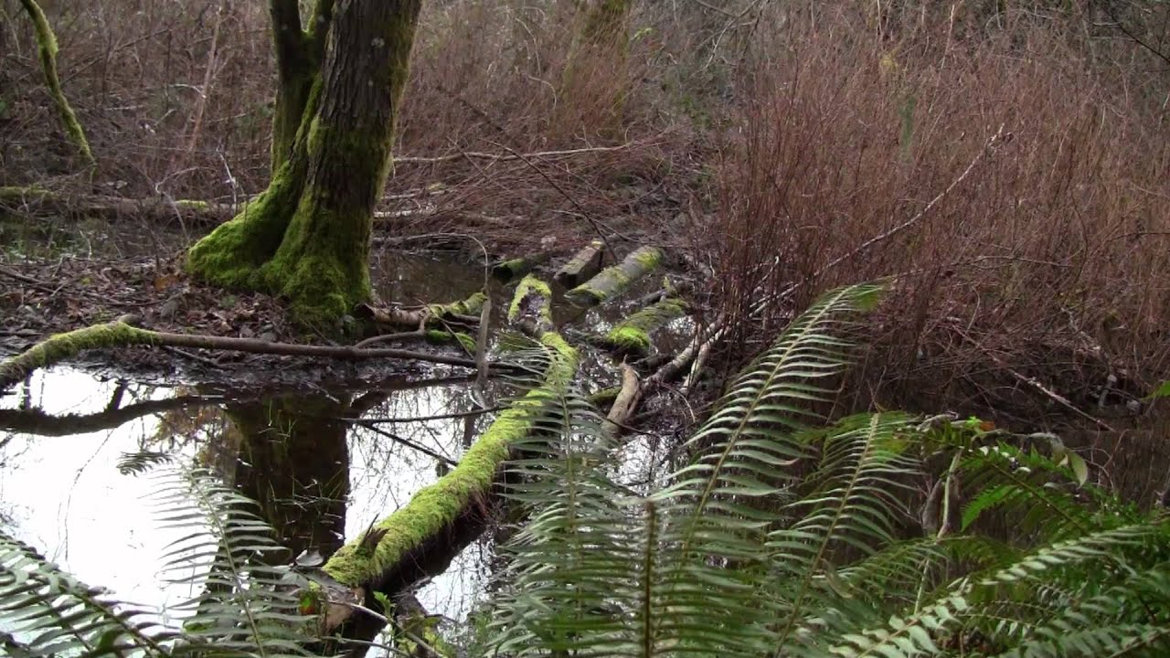 atheism plus Non eventful non important trail walk