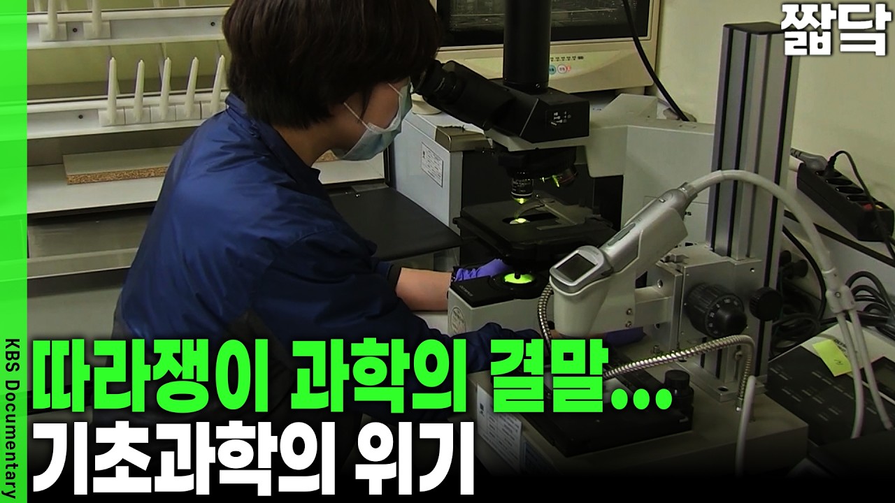 "이대로면 한국 떠납니다" 해외 인재마저 포기하게 만드는 연구 풍토 | KBS 취재파일 K 20161016 방송