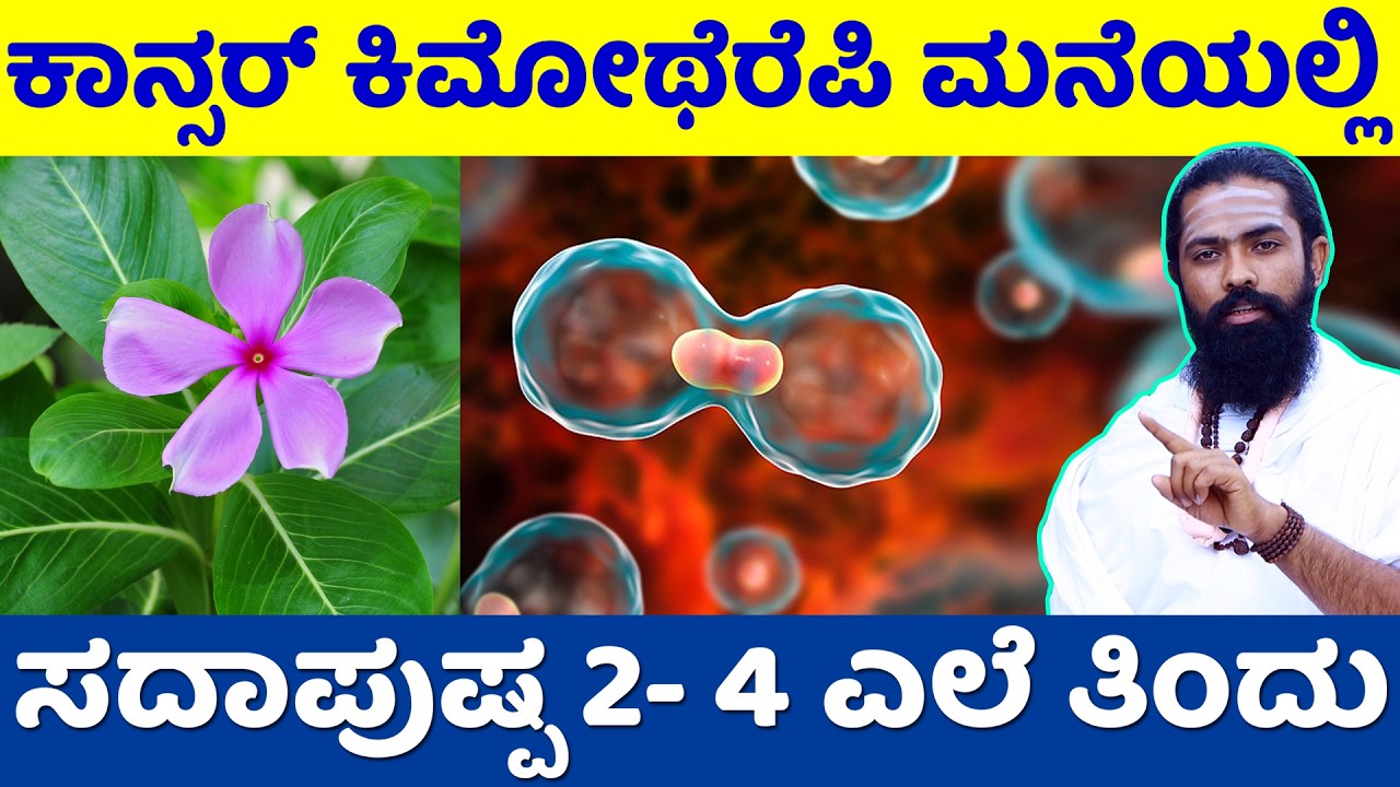 2 To 4 ಸದಾಪುಸ್ಪಿ ಎಲೆ ಇದ್ದರೆ..! ಡಯಾಬಿಟಿಸ್ ಕ್ಯಾನ್ಸರ್ ಮಾಯ | sadapushpa flower benefits in kannada