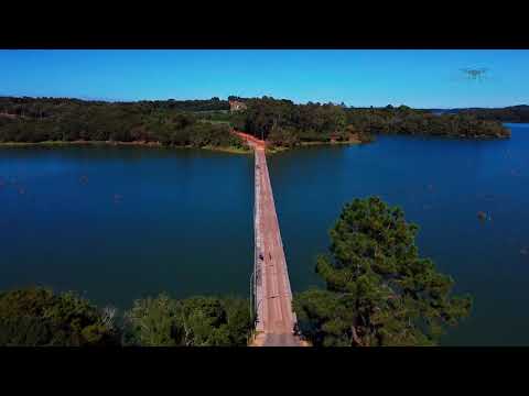 Vídeo: Abeto Interno - Araucária