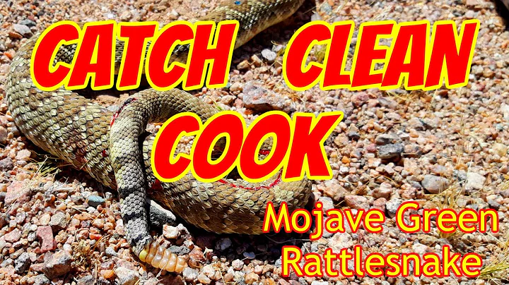 Catch Clean Cook | Mojave Green Rattlesnake | A Desert Lunch