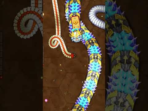 Little Big Snake